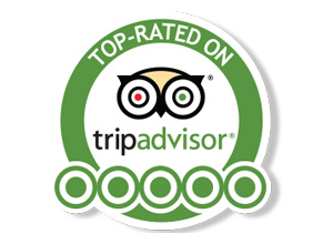 Trip Advisor