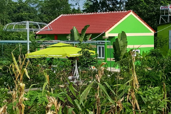 Dong Du Eco Farmstay