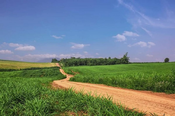 Way to Dong Du Farm