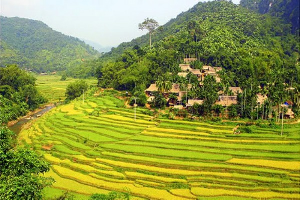 Pu Luong Nature Reserve