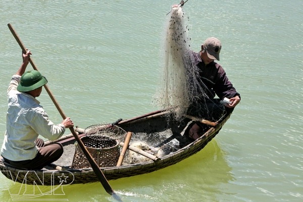 Go fishing on Giang River