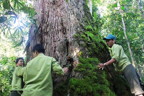 Pu Hoat Nature Reserve