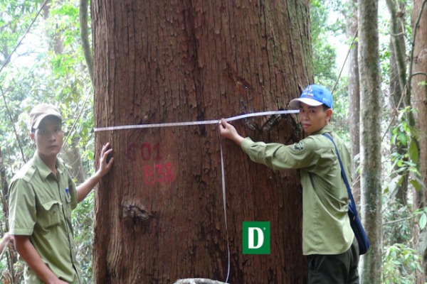 Pu Huong Nature Reserve