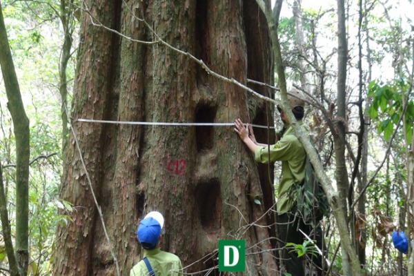 Visiting Pu Mat National Park