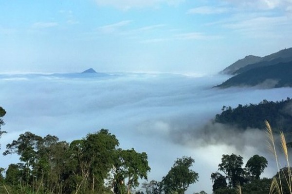 Annamite Range - Western Nghe An