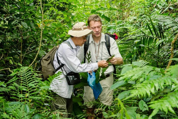 Trekking in Forest