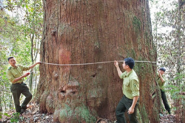 Pu Mat Natural Park - Western Nghe An