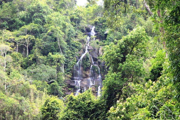 Pu Mat National Park, Con Cuong, Nghe An