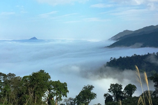 Phu Xai Lai Leng Summit - Nghe An